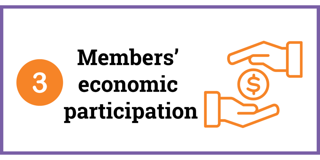 3. Members' economic participation