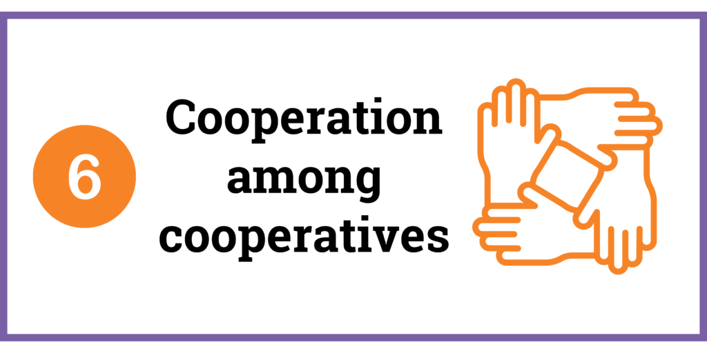 6. Cooperation among cooperatives